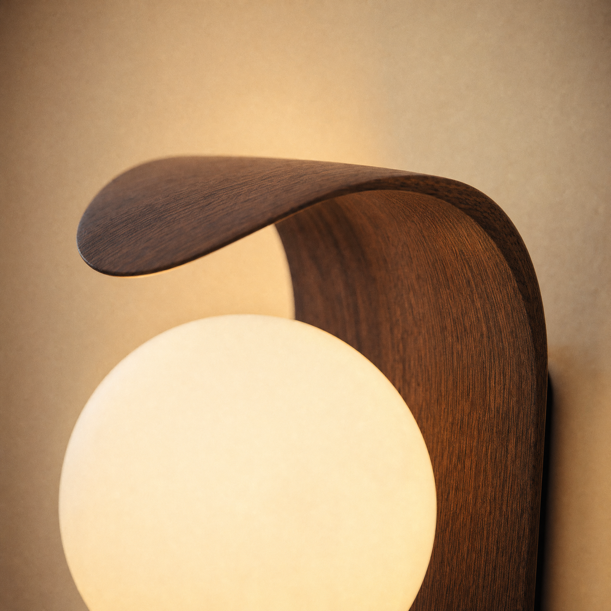 macro of the walnut curl over the glowing opal orb